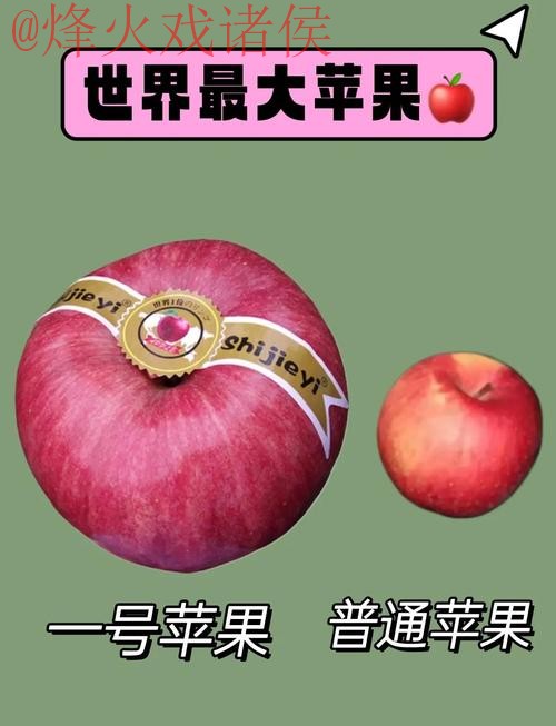 世界杯买球苹果最佳